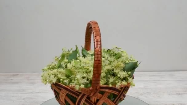 Flowers and leaves of lime medicinal in a basket swirl around. Collection of linden flowers. — Stock Video