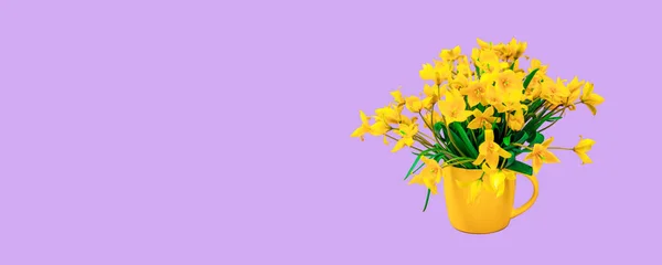 Banner. Tulipanes del bosque amarillo en una taza amarilla sobre un fondo púrpura. Lugar para una inscripción. — Foto de Stock