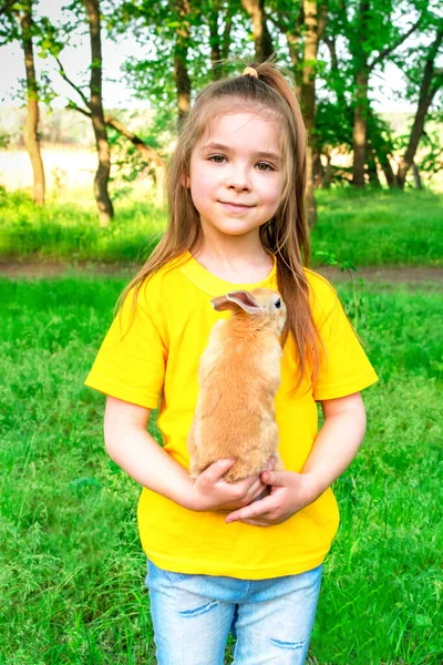 Little cute girl plays with a real ginger rabbit on a background of green plants. Summer outdoor activities for children with pets. — Stock Photo, Image