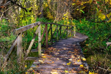 Old wooden footbridge across a stream in the autumn forest. Fallen autumn leaves on a wooden bridge in the forest. Walk in the forest.