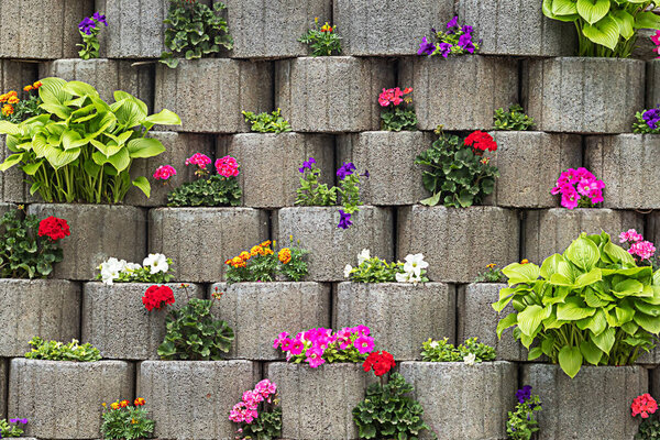 Vertical flower bed with many colorful flowers
