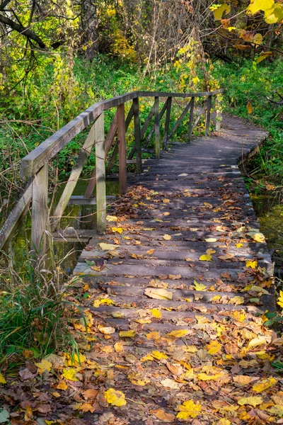 Пешеходный деревянный мост в лесу, покрытый осенью опавшими листьями. Осень в лесу. — стоковое фото