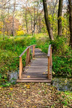 Sonbahar ormanında ahşap köprü