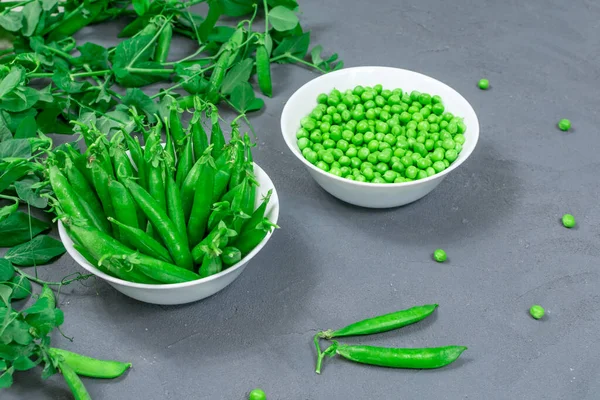 Two white bowls of fresh young green peas with stitches and peeled leaves on the background of shoots, sprigs of young green peas on a gray table. Close-up. Selective focus.