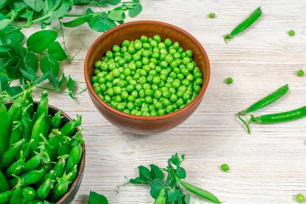 Two bowls of fresh young green peas in stitches and peeled against a background of leaf shoots, sprigs of young green peas on a white wooden table