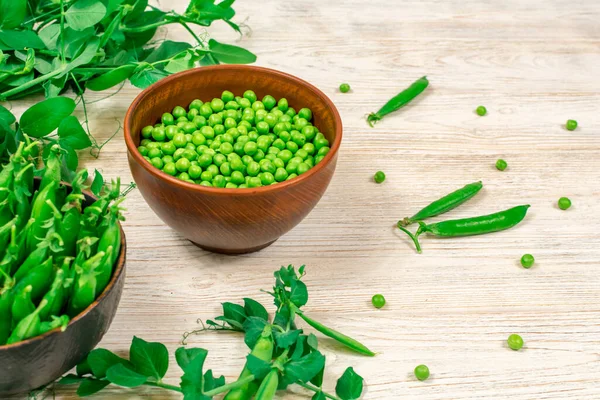 Two bowls of fresh young green peas in stitches and peeled against a background of leaf shoots, sprigs of young green peas on a white wooden table