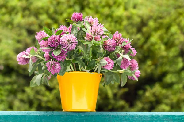 Bouquet of meadow clover flowers in a yellow bucket on a blurred background. Happy womens day.