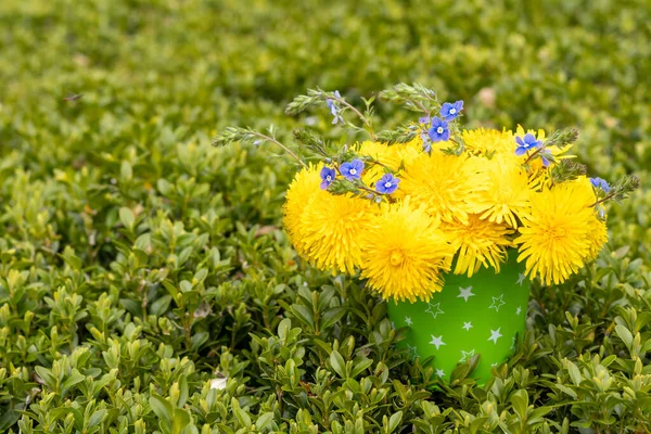 Bouquet Flowers Small Bucket View Copy Space Dandelion Flowers Spring — Stockfoto