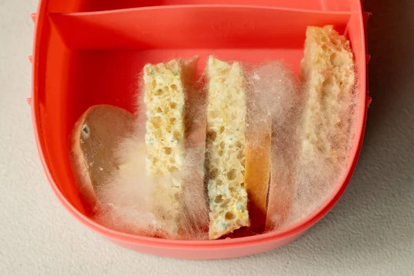 White mold on slices of bread and slices of sausage in pink lunch bokeh. Spoiled bad food in mold