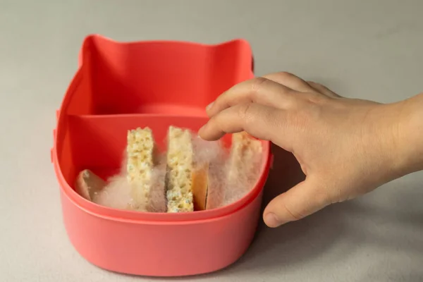 A childs hand reaches for a lunchbox with slices of bread and sausage on which white mold. Spoiled bad food in mold