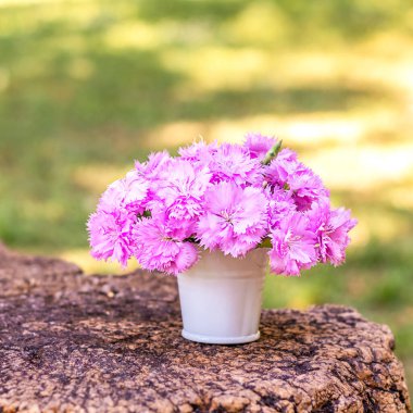 A bouquet of delicate pink carnations in a white decorative bucket on a stump on a blurred background of nature. Selective focus