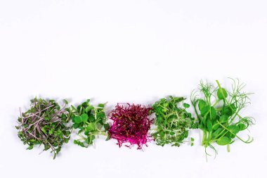 Microgreen sprouts of arugula, mustard, radish, pea, amaranth in assortment on a light background. Copy space. Place for an inscription