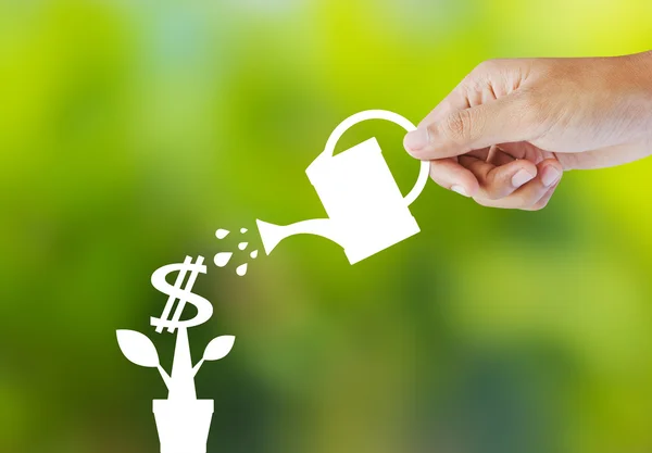 Watering a paper plant that produces money — Stock Photo, Image