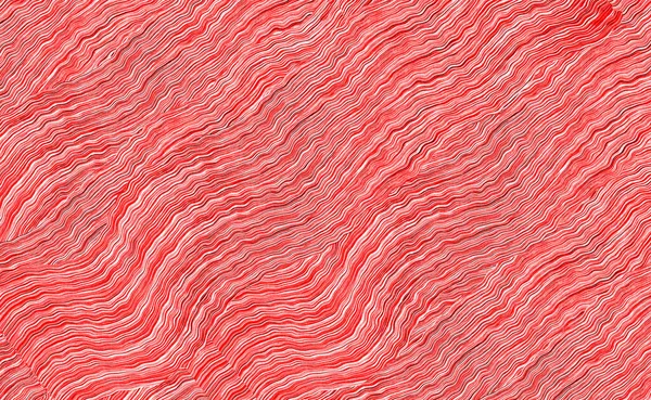 Abstrakt Röd Modern Dekorativ Snygg Banner Bakgrund — Stockfoto