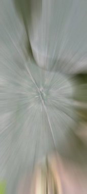 Soyut Renkli Arkaplan Tasarımı. Desen Arkaplan Tasarımı