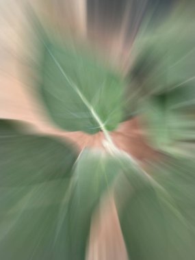 Soyut Renkli Arkaplan Tasarımı. Desen Arkaplan Tasarımı