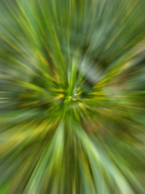 Soyut Renkli Arkaplan Tasarımı. Desen Arkaplan Tasarımı