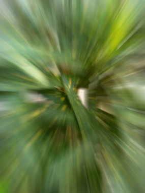 Soyut Renkli Arkaplan Tasarımı. Desen Arkaplan Tasarımı