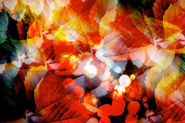 Beyaz arka plan üzerinde izole kırmızı balon kalpler