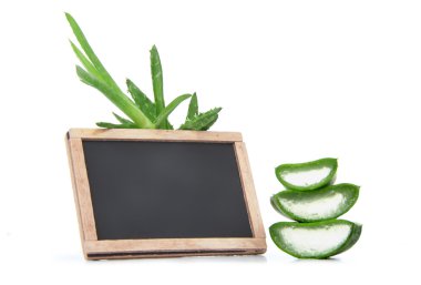 Aloes