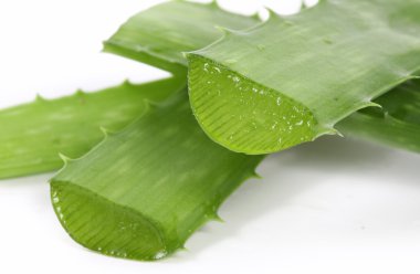 Aloes