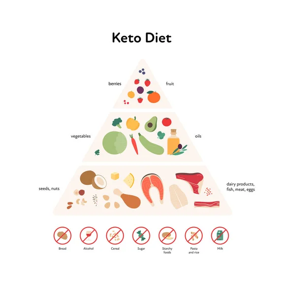 Vector Flat Modern Illustration Keto Diet Infographic Pyramid Label Rules — 스톡 벡터