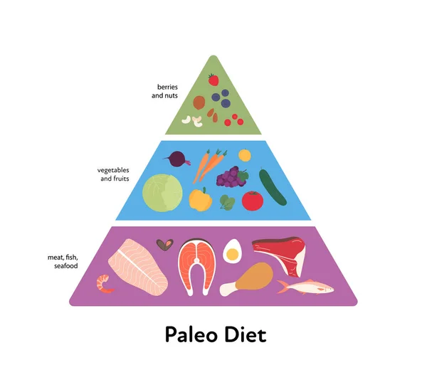 Conceito Guia Alimentar Vector Plana Ilustração Moderna Paleo Dieta Pirâmide — Vetor de Stock