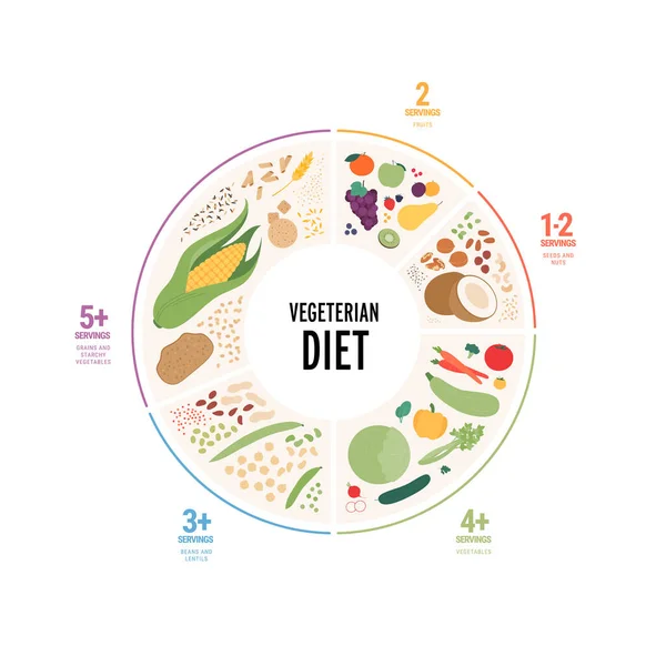 Concetto Guida Alimentare Illustrazione Moderna Piatta Vettoriale Piatto Infografico Vegetariano — Vettoriale Stock
