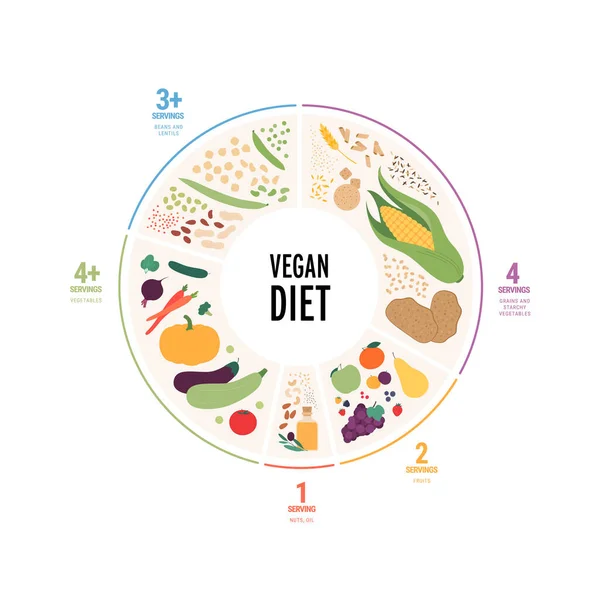 食品指导概念 矢量平面现代插图 一种带有伺服标签的饮食信息板 色彩艳丽的食物 豆类和谷物图标 背景为白色 — 图库矢量图片