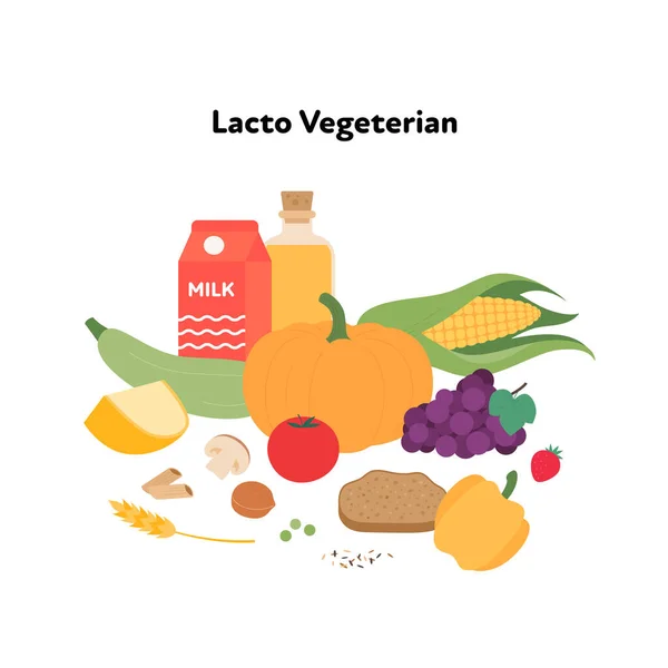Exemple Plaque Alimentaire Concept Illustration Vectorielle Plate Lacto Symbole Régime — Image vectorielle