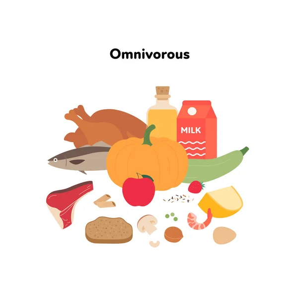 Voedselplaat Voorbeeld Concept Vector Platte Illustratie Omnivoor Dieet Symbool Geïsoleerd — Stockvector