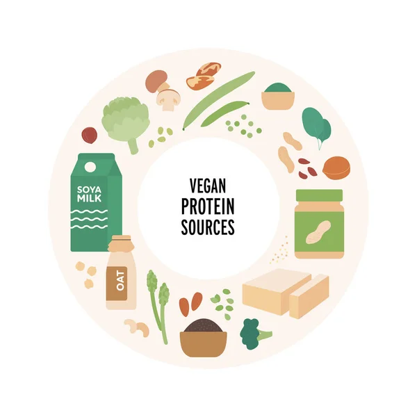 Concept Guide Alimentaire Illustration Vectorielle Plate Moderne Les Sources Protéines — Image vectorielle