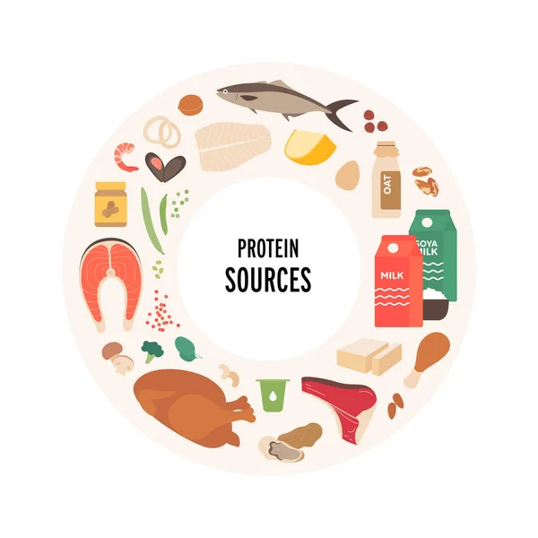 Concept Guide Alimentaire Illustration Vectorielle Plate Moderne Sources Protéines Plaque — Image vectorielle