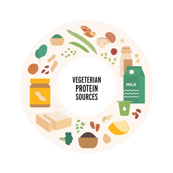 Voedselgids Concept Vector Platte Moderne Illustratie Vegaterian Eiwitbronnen Voedselplaat Infographic — Stockvector