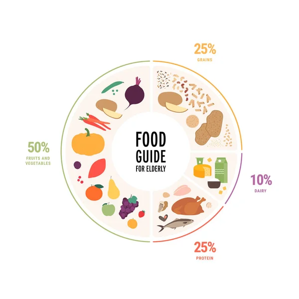 Guide Des Assiettes Alimentaires Saines Pour Aînés Concept Illustration Vectorielle — Image vectorielle