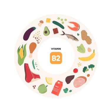 Sağlıklı gıda rehberi konsepti. Vektör düz çizim. B2 vitamin kaynaklarının bilgileri. Renkli et, kümes hayvanları, deniz ürünleri, mantar, meyve, sebze, süt ürünleri ve fındık ikonu.