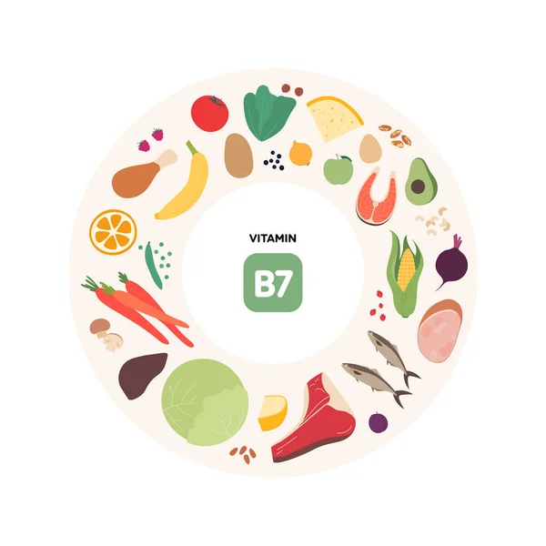 健康食品指导概念 矢量平面插图 B7维生素来源信息 色彩斑斓的肉类 蔬菜和谷物图标 — 图库矢量图片