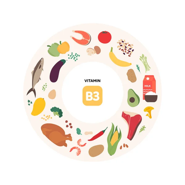 健康食品指导概念 矢量平面插图 B3维生素来源信息图 五彩斑斓的肉类 奶制品和豆类图标 — 图库矢量图片