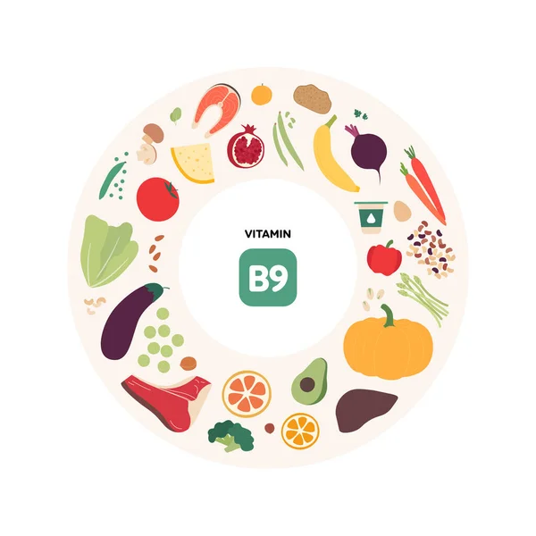 健康食品指导概念 矢量平面插图 B9维生素来源信息图 色彩斑斓的肉类 蔬菜和谷物图标 — 图库矢量图片