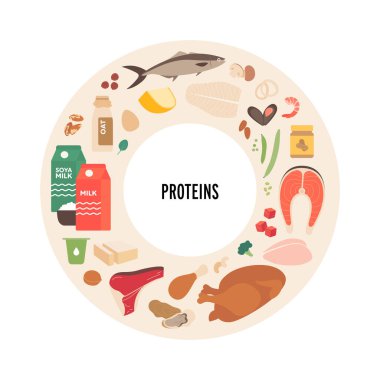 Gıda ve yemek malzemeleri vektör düz çizim seti. Protein kaynakları gıda levhası bilgi çemberi çerçevesi etiketli. Renkli gıda ve yemek ikonu et, deniz ürünleri, sebze ve süt ürünleri.