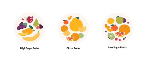 食物图解收集 低糖类水果 柑橘类蔬菜在白色背景下的圆形框架结构矢量平面设计 — 图库矢量图片