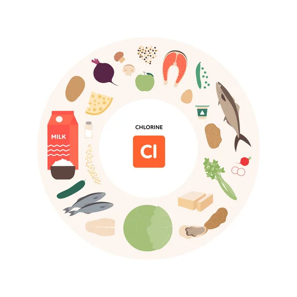 Υγιή Έννοια Οδηγός Για Μικροθρεπτικά Συστατικά Τροφίμων Διανυσματική Επίπεδη Απεικόνιση — Διανυσματικό Αρχείο