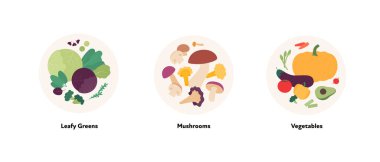 Yemek illüstrasyon koleksiyonu. Yapraklı yeşilliklerin, mantarların ve sebzelerin beyaz arkaplanda izole edilmiş dairesel çerçevedeki vektör düz tasarımı.