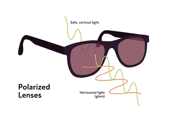 保护墨镜的信息 矢量平面现代插图 带偏振镜的太阳镜 白色背景隔离 垂直和水平光波符号 — 图库矢量图片