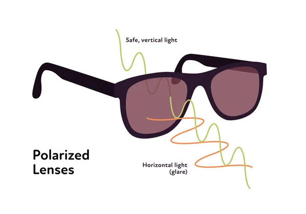 Lunettes Soleil Protection Infographie Illustration Vectorielle Plate Moderne Lunettes Soleil — Image vectorielle