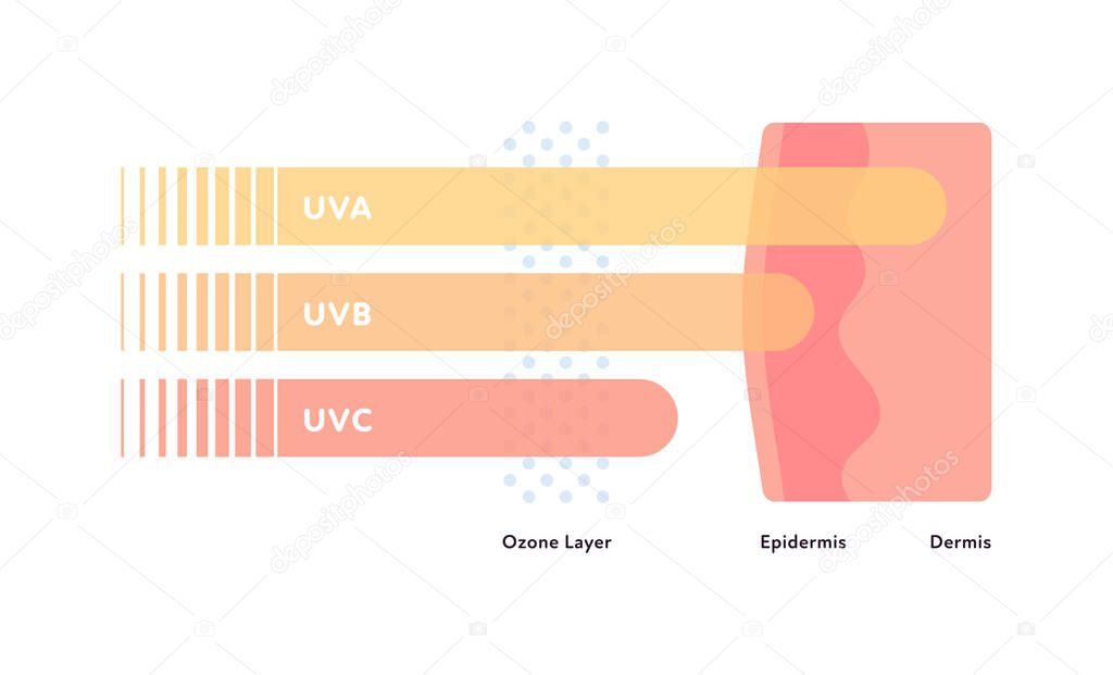 Uv rays and visible light healthcare infographic. Vector flat illustration. UVA, UVB, UVC arrow penetarate ozone layer and skin layers. Design for uv awareness month.