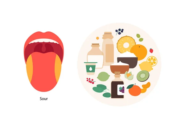 人类的五种味觉信息 矢量平面现代插图 舌头区域图 素食盘产品图标设置隔离在白色背景 奶制品 — 图库矢量图片