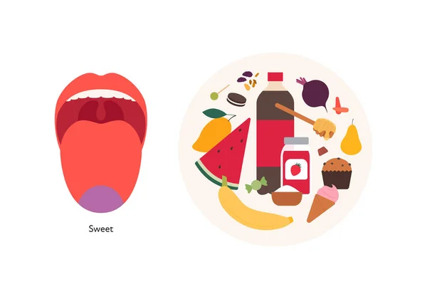 人类的五种味觉信息 矢量平面现代插图 舌头区域图 甜食盘产品图标设置隔离在白色背景 闪闪发光的饮料 — 图库矢量图片