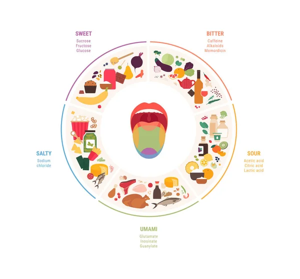 Infografía Humana Cinco Gustos Ilustración Moderna Plana Vectorial Mapa Zona — Vector de stock