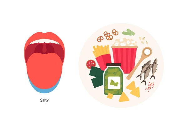Menschliche Fünf Geschmack Infografik Vektorflache Moderne Illustration Zungenzonenkarte Salzmahlplatte Produkt — Stockvektor